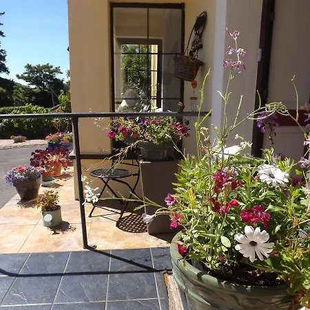 Bed & Breakfast Joyces Waterloo House